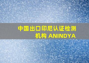 中国出口印尼认证检测机构 ANINDYA